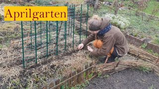 Aussaaten April I Erbsen anbauen I FischlandDarßZingst [upl. by Aneleve22]