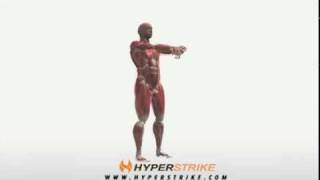 Exercise Videos Forearm Extensor Stretch [upl. by Notxarb]