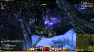 GW2 Dark Reverie Caledon Forest jumping puzzle guide [upl. by Hellman]