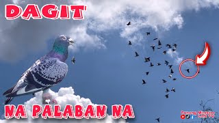 EP478  UNANG LABAN NI DAGIT ABA AKALAIN NYO OLAT [upl. by Gabriele]