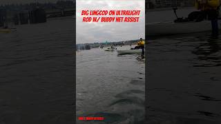 Video recorded in 2022 fish lingcod fishing washington pugetsound pnw [upl. by Izy]