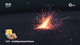 Wolff Vuurwerk 1237 Crackling Ground Flowers [upl. by Odrareve]