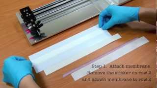 Rapid Test Immunoassay Membrane tutorial [upl. by Nna]