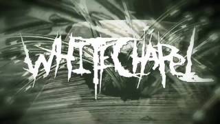 Whitechapel  Prostatic Fluid Asphyxiation LYRIC VIDEO [upl. by Roanna894]