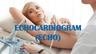 Echocardiogram Echo  Types Indications Patient Preparation Procedure Risks amp Complications [upl. by Sophie205]