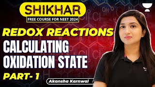 Redox Reactions  Calculating Oxidation State  Part 1  NEET 2024  Akansha Karnwal [upl. by Panaggio244]