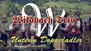 Wildbach Trio quotUnterm Doppeladlerquot [upl. by Leta]