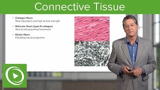 Connective Tissue – Histology  Lecturio [upl. by Adnolohs]