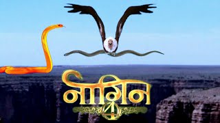 Naagin 4 episode 10 [upl. by Glory]