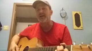 Designated Drinker Alan Jackson George Strait cover by Jesse Allen [upl. by Doll973]