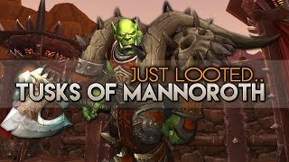 Hearthstone  Lore of the Cards  MannorothMagtheridon  Pit Lord [upl. by Graeme]