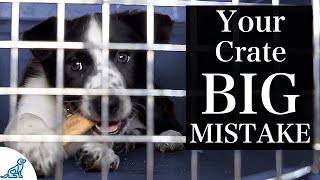 The BIGGEST Mistake People Make With Crate Training A Puppy [upl. by Syxela]