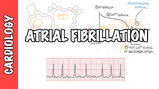 Atrial Fibrillation Overview  ECG types pathophysiology treatment complications [upl. by Adnauqal]