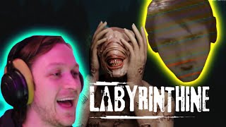 😨 Bros Play LABYRINTHINE 😨 [upl. by Hsetim]