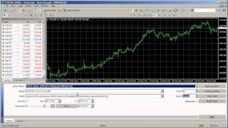 How To Backtest in MT4 [upl. by Cressi]