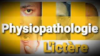 Physiopathologie  3ème cours  Lictère [upl. by Michelsen]