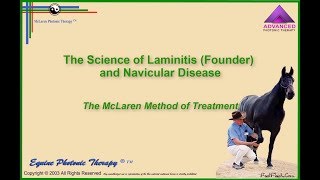 Laminitis and Navicular Syndrome [upl. by Enyaz45]