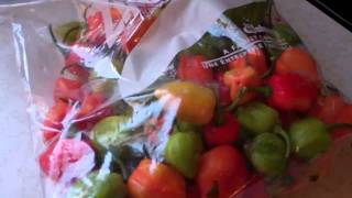 How To Store Hot Peppers For The Winter Without Losing Its Heat And Flavors [upl. by Enelyt]