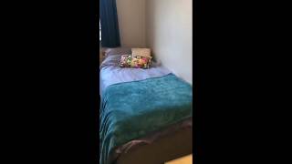 Broadgate Park Ensuite Studio amp Albion House Standard Bedroom Tour [upl. by Fretwell]