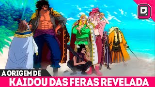 REVELADO O PASSADO DE KAIDO NOS ROCKS E A LIGAÇÃO COM JOYBOYLUFFY VS KAIDO EXPLICADOOne Piece 1076 [upl. by Rowe]