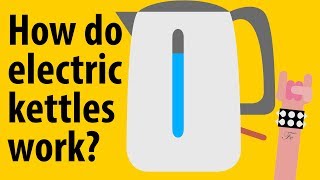 How do electric kettles work  Kitchen Appliance Explained [upl. by Electra]