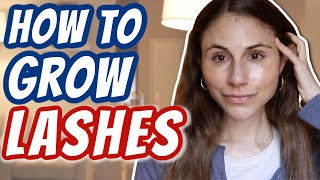 How to GROW LASHES Dr Dray [upl. by Nosliw489]