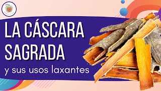 LA CÁSCARA SAGRADA Para qué sirve [upl. by Nodnar]