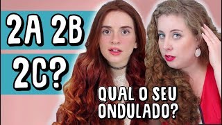 COMO IDENTIFICAR O SEU TIPO DE CABELO 2A 2B OU 2C COM MARI VASCONI [upl. by Winzler463]