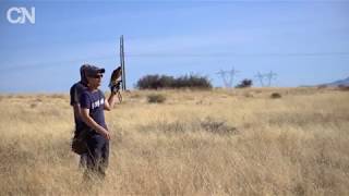 Arizona falconry takes flight [upl. by Iolande]