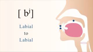 bʲ  voiced unaspirated palatalized bilabial stop [upl. by Ralaigh]