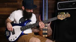 2Pac  Skandalouz bass cover [upl. by Nomelc]