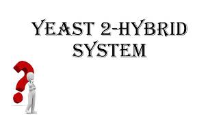 Yeast 2Hybrid System Y2H  Video Lecture by Ankita Rajput yeast proteininteraction ppi [upl. by Serles]