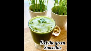 Feel the green smoothie How to make vegetable smoothie How to make diabetic friendly smoothie [upl. by Williams861]