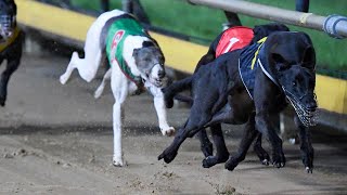 2024 Sportsbet Bendigo Cup Heat 3  Matt Loch [upl. by Ventura]