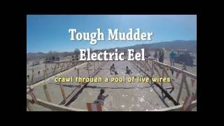 Tough Mudder Electric Eel Swimming Through Live Wires [upl. by Ariajaj]