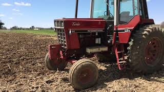 IH 986 Turbo Walk Around [upl. by Traggat]