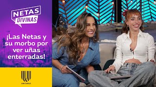 ¡Natalia Téllez casi pierde la vida por enterarse de un chisme ajeno  Netas Divinas Unicable [upl. by Kera]