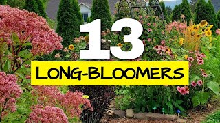 These are the Longest Blooming Perennials in my Garden I Tracked Them All Year [upl. by Connie]