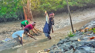 এই প্রথমবার সুন্দরবন জঙ্গলেখাল পাটা দিয়ে মাছ ধরলাম🐟 [upl. by Elimaj]