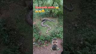 anaconda shop nature forest travel malayalam wildlife [upl. by Ynaffit872]