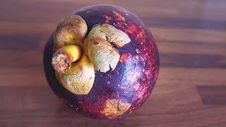 MANGOSTEEN  MANGOSTAN [upl. by Ailekahs]