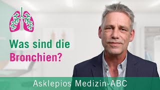 Was sind die Bronchien  Medizin ABC  Asklepios [upl. by Kesia]