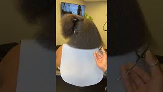 The trimming process is so satisfying 🤩shorts hairstyles naturalhair haircut fypシ゚viral [upl. by Meagher709]