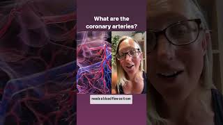 What are coronary arteries anatomyrevision heartanatomy coronaryartery [upl. by Yetnom]