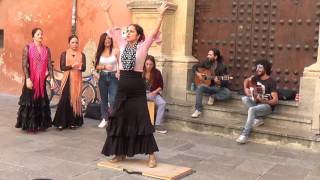 Flamenco dance 1 in Granada 2015 [upl. by Niggem]