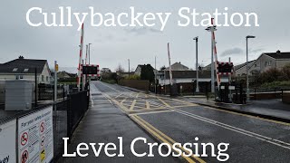 Cullybackey Station Level Crossing Ballymena Thursday March 21032023 [upl. by Joacimah]