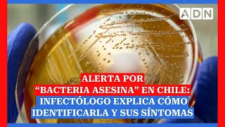 Alerta por “bacteria asesina” en Chile infectólogo explica cómo identificarla y sus síntomas [upl. by Brie]