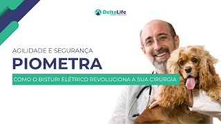 Piometra O que é Diagnóstico e Avanços Tecnológicos na Cirurgia Veterinária [upl. by Risay17]