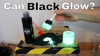 Mixing the Worlds Blackest Paint With the Worlds Brightest Paint Black 20 vs LIT [upl. by Phyl]