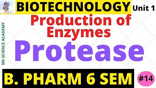 ProteaseProduction of EnzymesBiotechnologyUnit 1 B Pharmacy 6 SemLect14 [upl. by Nath]